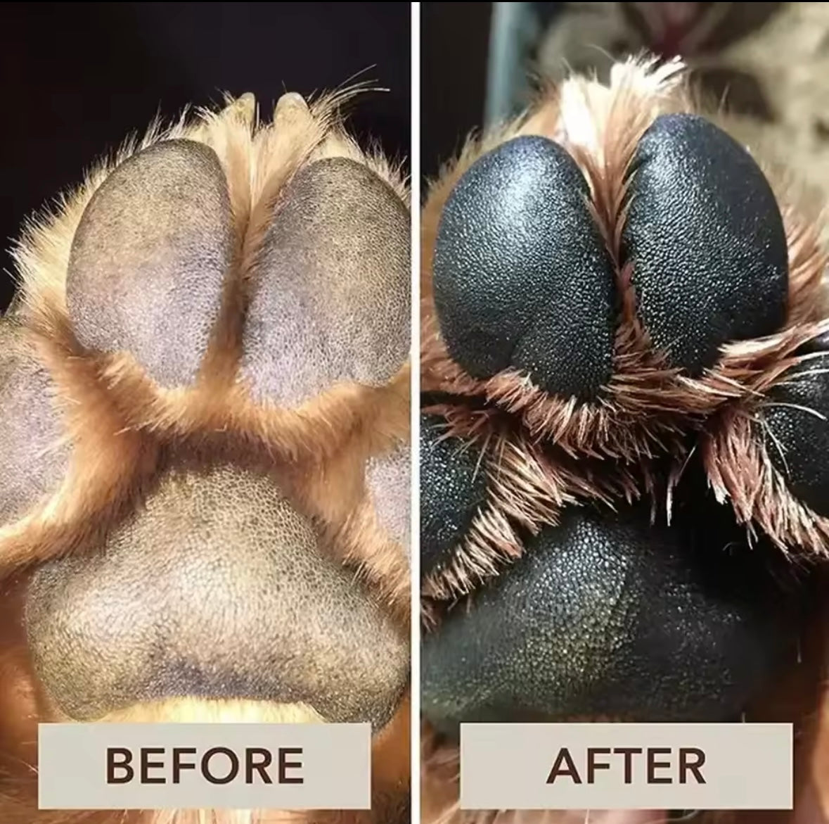 Pawlio - Pet Paw Cream