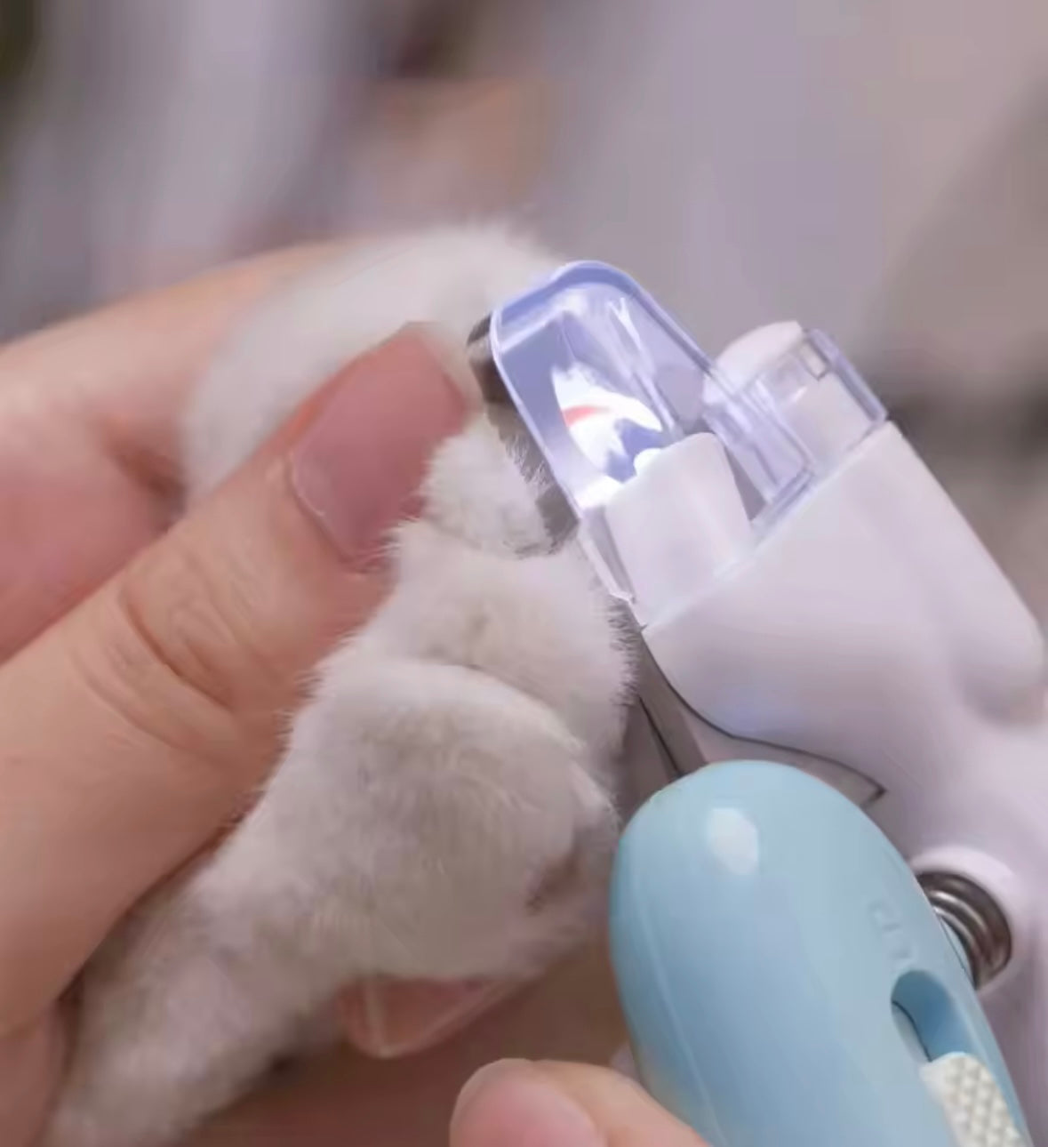 Pawlio - Pet Nail Clippers